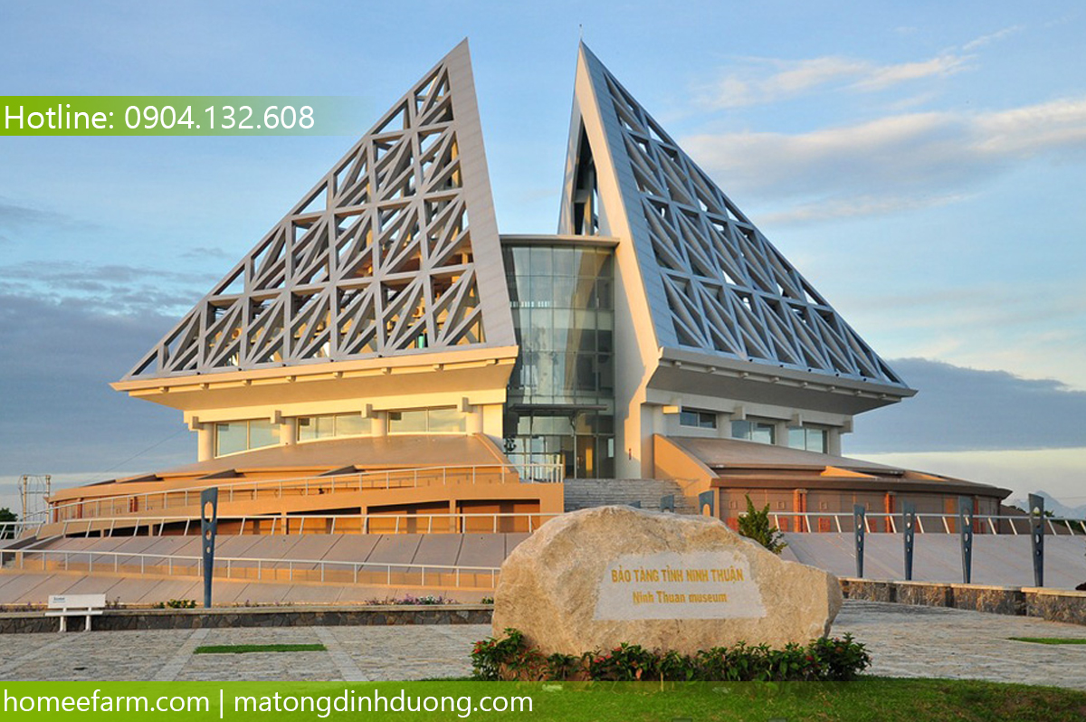 MUA MẬT ONG Ở ĐÂU TẠI NINH THUẬN ĐỂ BỔ SUNG NĂNG LƯỢNG MỖI NGÀY?