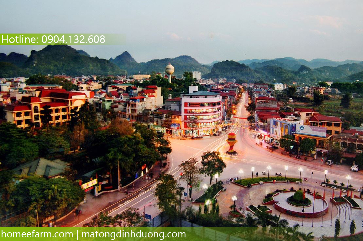 ĐỊA CHỈ MUA MẬT ONG Ở ĐÂU TẠI SƠN LA NGON KHÔNG THUA MẬT ONG RỪNG?
