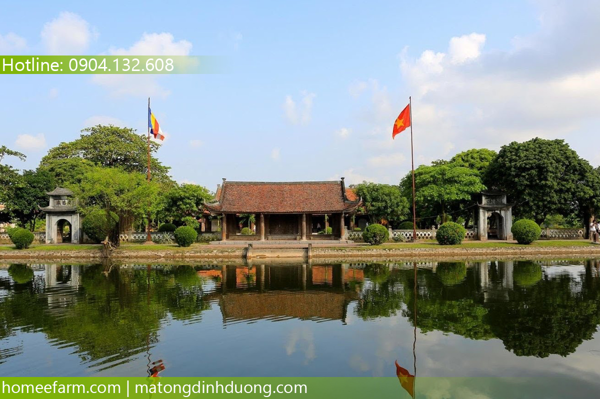MUA MẬT ONG Ở ĐÂU TẠI THÁI BÌNH ĐỂ TRỊ NÁM DA KHI MANG BẦU?