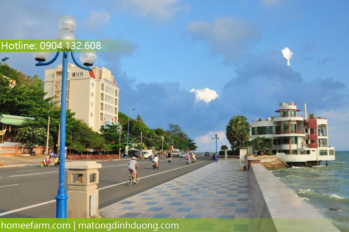 ĐAU ĐẦU VÌ KHÔNG BIẾT MUA MẬT ONG Ở ĐÂU TẠI VŨNG TÀU?