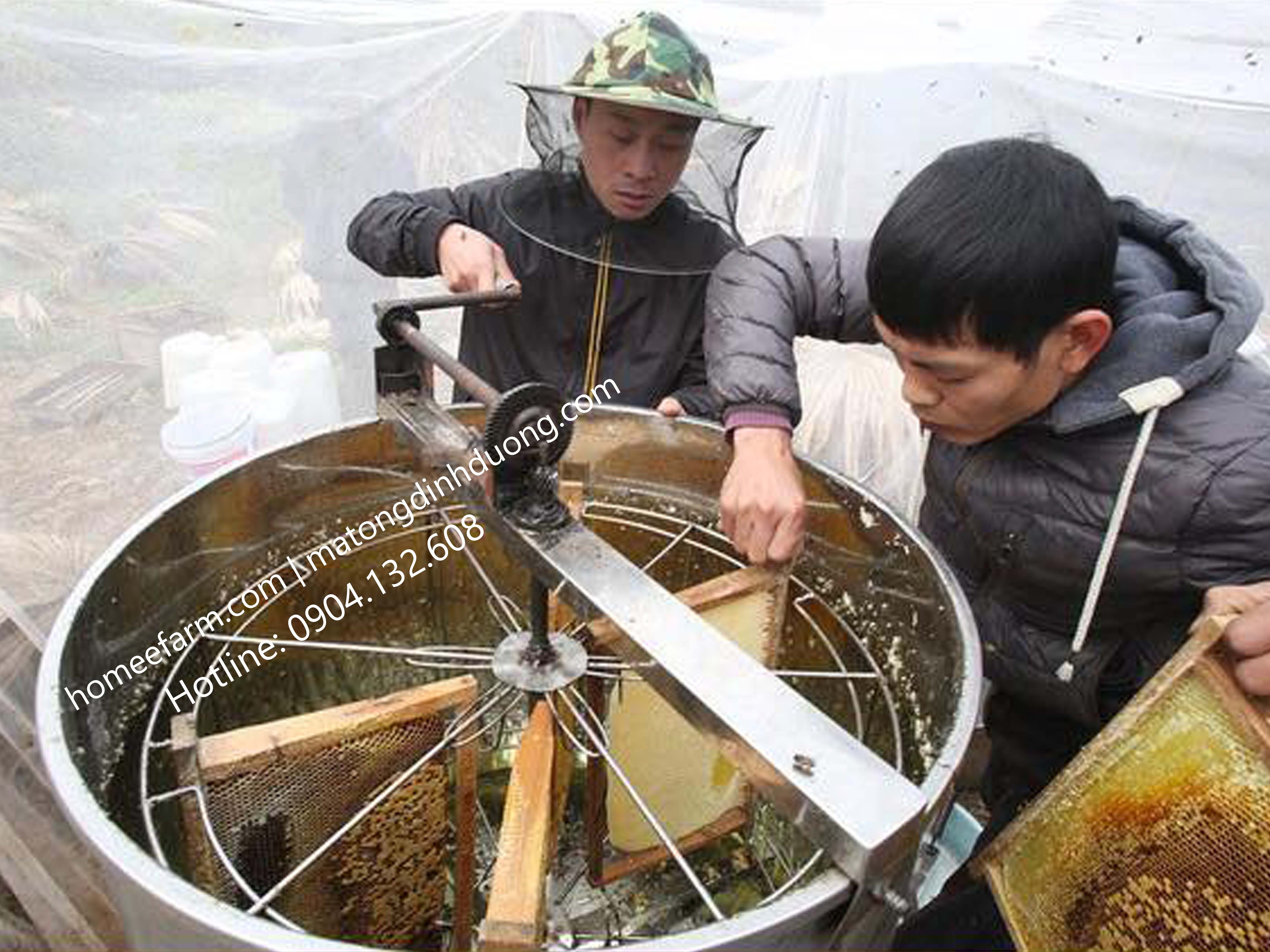 CÙNG KHÁM PHÁ 4 BƯỚC KHAI THÁC MẬT ONG CHẤT LƯỢNG