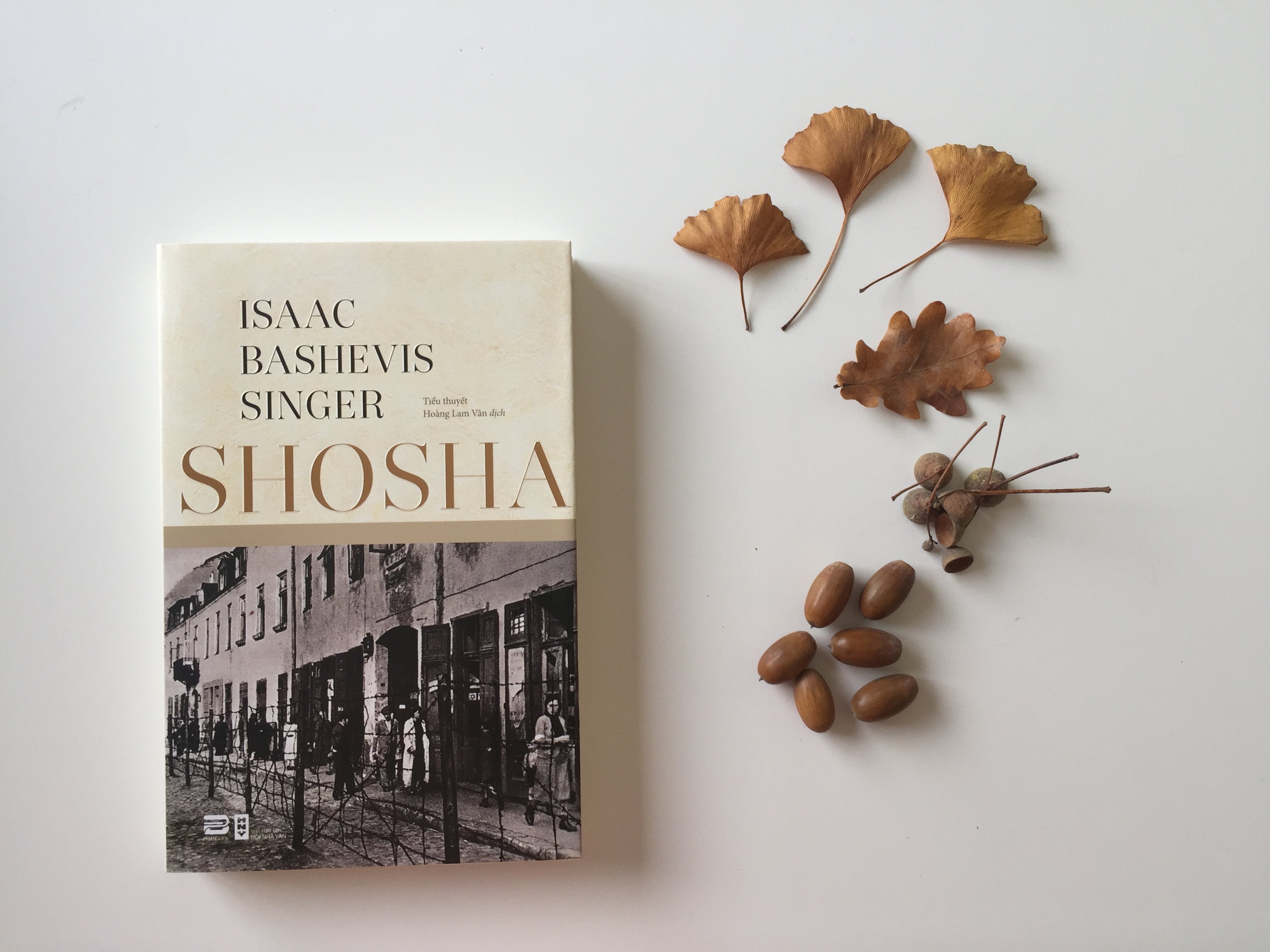 Có cuốn sách mới nào bằng tiếng Yiddish không?