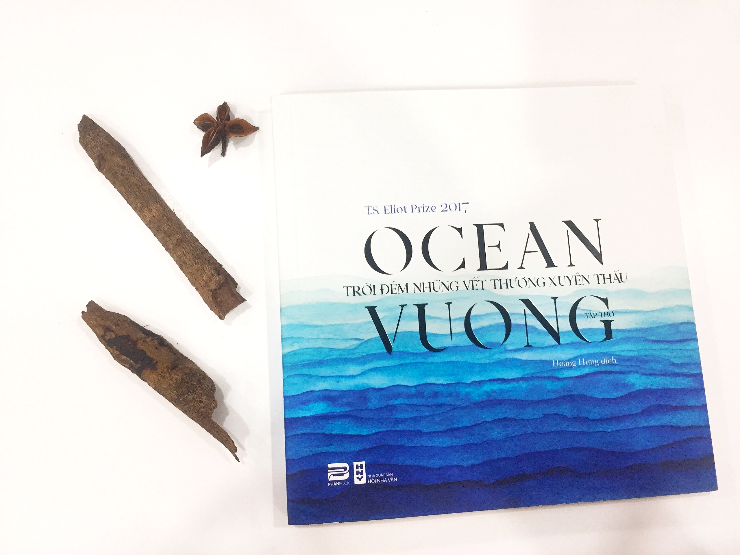 Tập thơ Trời Đêm Những Vết Thương Xuyên Thấu - Ocean Vuong