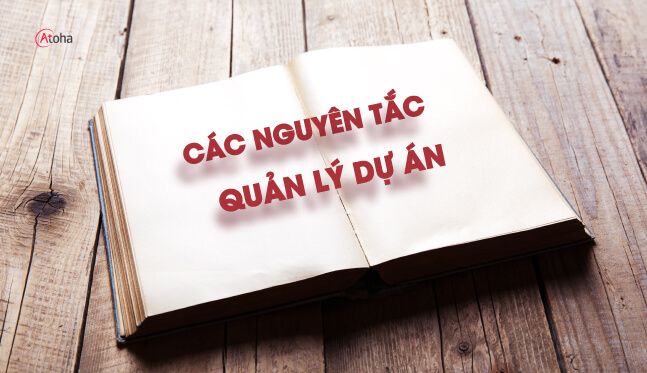 12 nguyên tắc quản lý dự án – PMBOK 7th