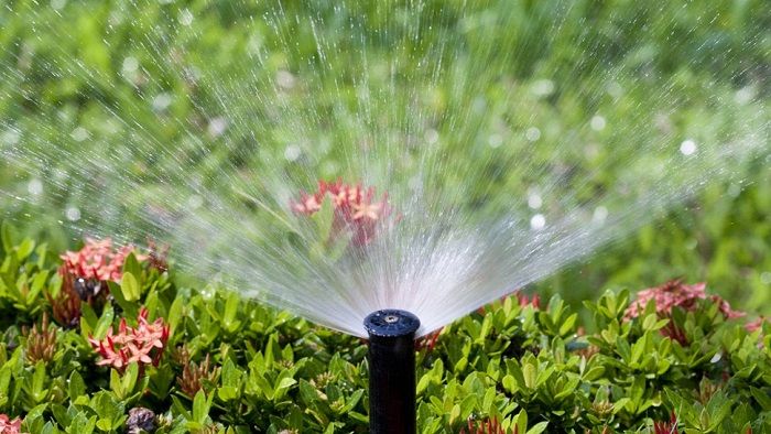 Các ưu điểm của hệ thống tưới tự động trong cảnh quan