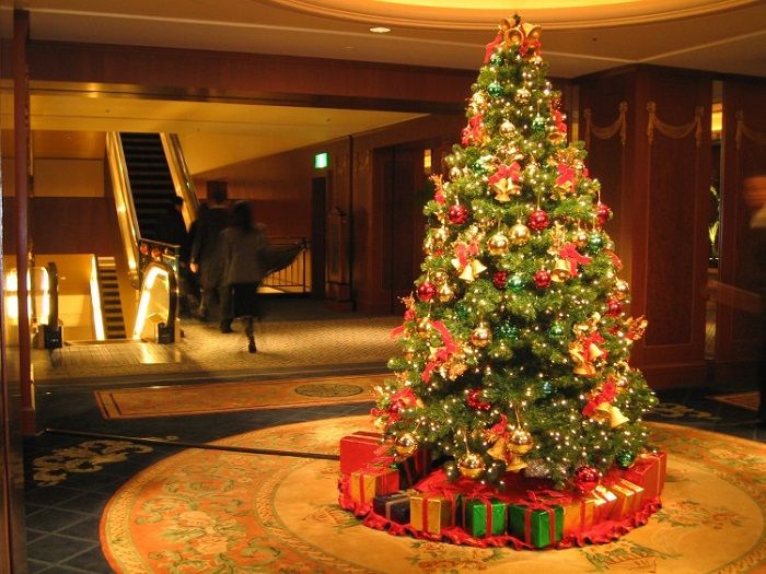 Nên dùng cây gì làm cây thông Noel- Xu hướng mới nhất hiện nay