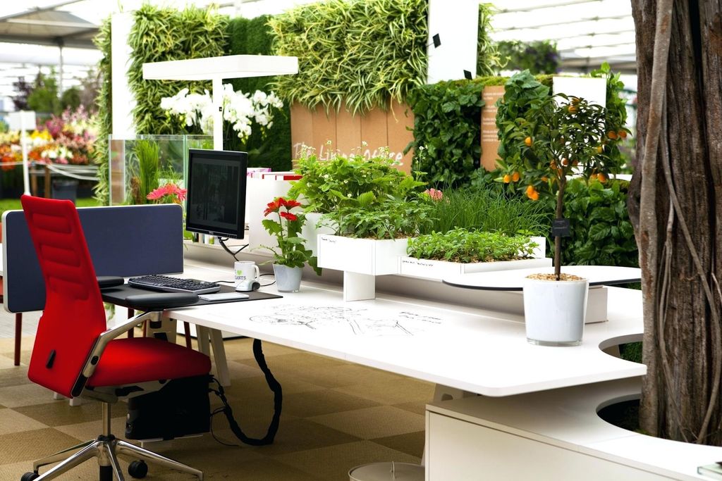 Cây xanh nào hợp với người mệnh Thủy?