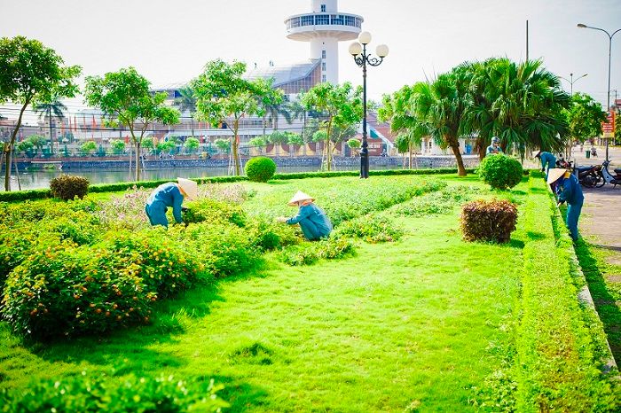 Khi nào nên thuê dịch vụ cắt tỉa cây xanh là tốt nhất?