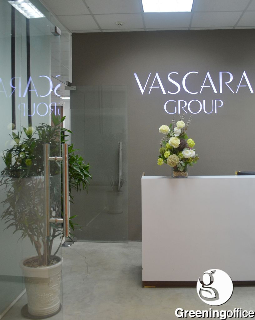 Dẫn đầu xu thế, phủ xanh màu cuộc sống - Greeningoffice đồng hành cùng Vascara Group