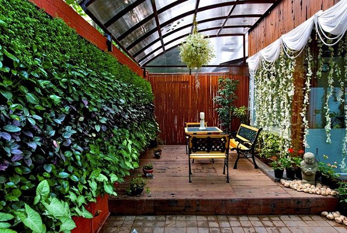 Hướng dẫn cách chăm sóc tường xanh trong nhà chuẩn nhất