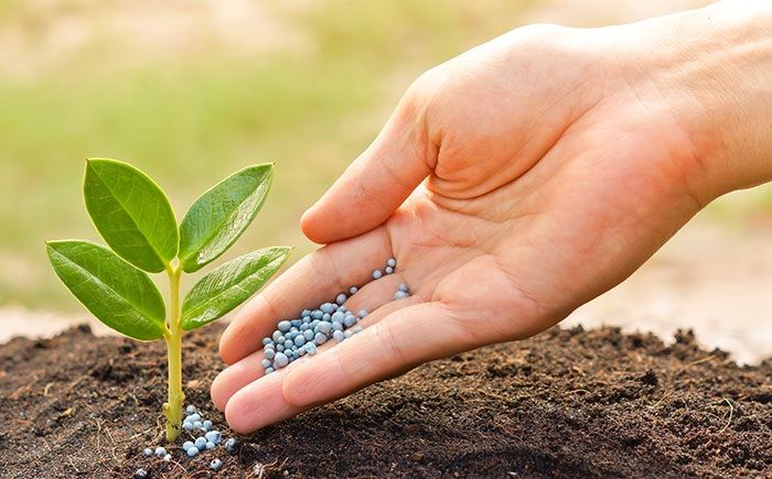 Phân bón hóa học là gì? Có mấy loại phân hóa học?
