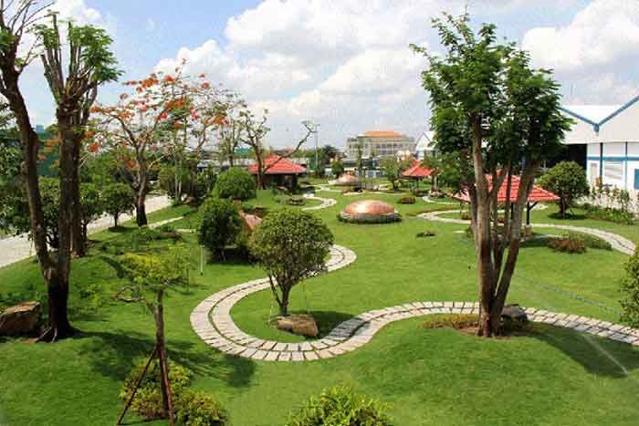 7 loại cây xanh đô thị phổ biến được sử dụng trong thi công cảnh quan