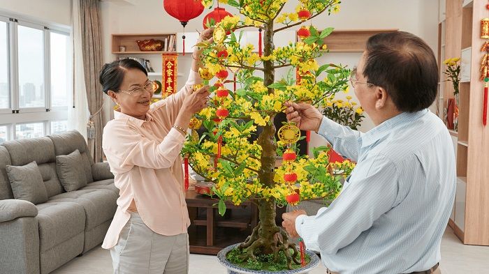 7 cách trang trí cây mai ngày Tết chuẩn đẹp đón xuân Canh Tý