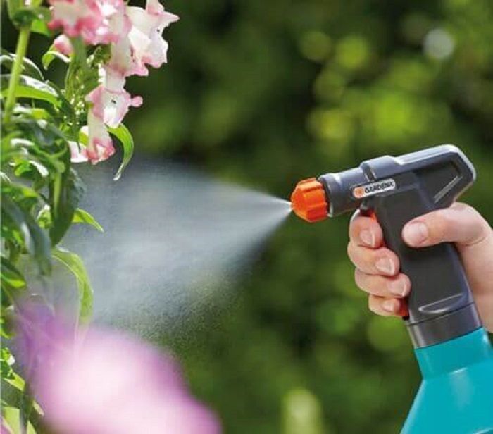 Hướng dẫn chi tiết cách chăm sóc cây trên tường xanh 2020