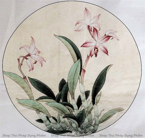 Bộ bút lông vẽ tranh thủy mặc