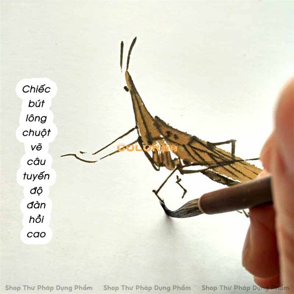 Bộ bút lông vẽ tranh thủy mặc