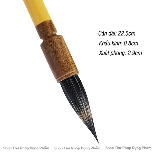 Bút lông hành vân lưu thủy viết sấu kim thể, câu tuyến vẽ tranh