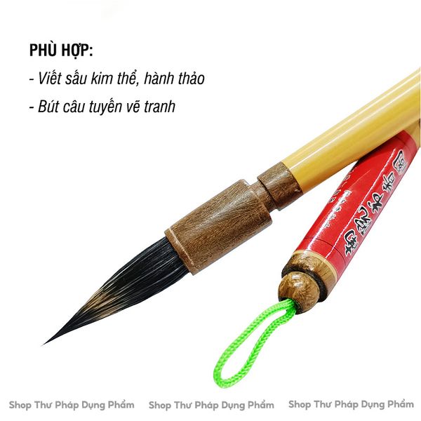 Bút lông hành vân lưu thủy viết sấu kim thể, câu tuyến vẽ tranh