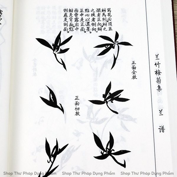 Sách giới tử viên họa phổ