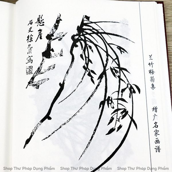 Sách giới tử viên họa phổ