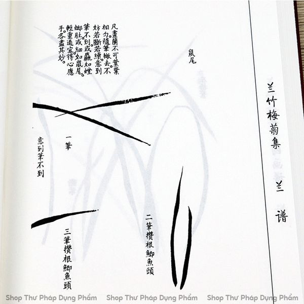 Sách giới tử viên họa phổ