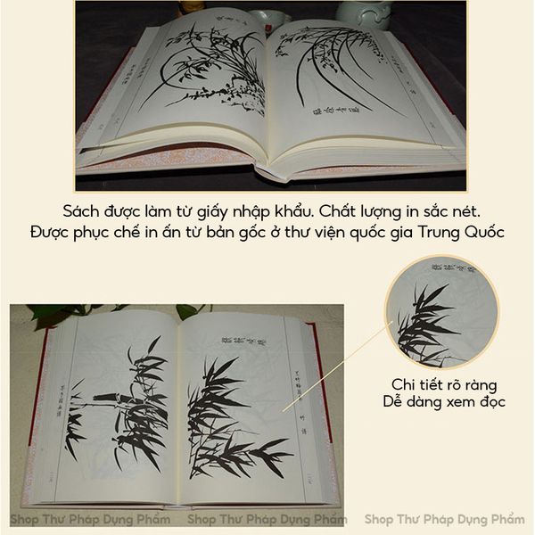 Sách giới tử viên họa phổ