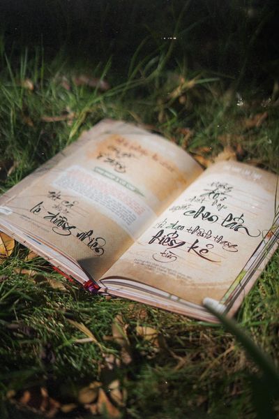 Tôi học thư pháp với Lão Trọc | Thư pháp nền tảng 2024