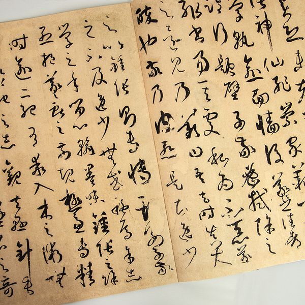 Thư phổ của Tôn Quá Đình, thảo thư