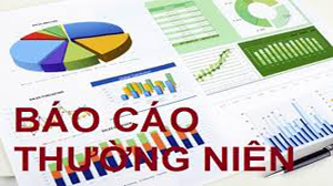 Báo cáo tình hình quản trị Công ty năm 2017