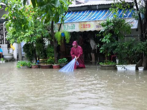Video Tấm chắn nước mưa vào nhà tự chế, Yến sào Quảng Nam Tấn Hưng