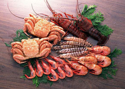 Bé mấy tháng tuổi bắt đầu ăn được hải sản?