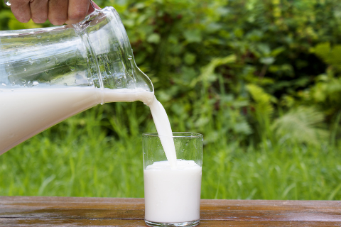 Tổng hợp những loại sữa tươi hiện có trên thị trường