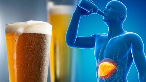 Bạn có biết chỉ 10% lượng cồn được đào thải qua đường tiểu, 90% còn lại sẽ đến thẳng gan?