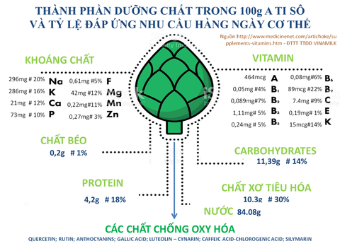 Thành phần dưỡng chất có trong 100g Actiso là bao nhiêu?