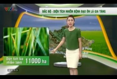 Bản tin thời tiết nông vụ VTV1