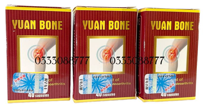 yuan bone