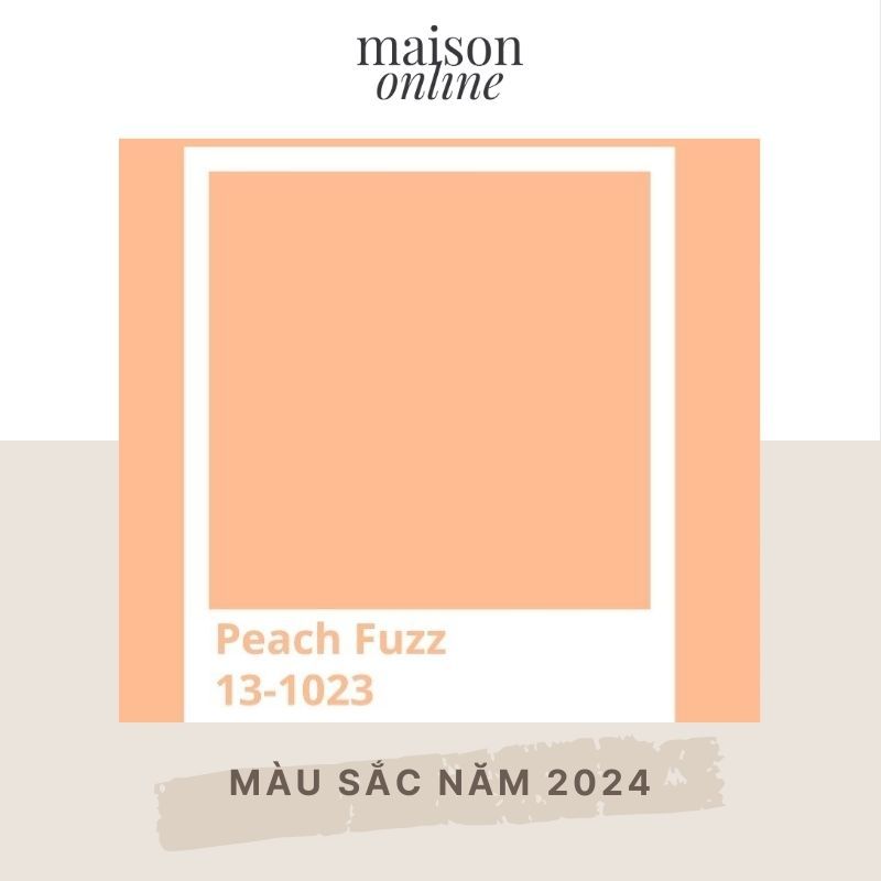 Màu sắc của năm 2024 là gì? Bộ sưu tập trang phục màu Peach Fuzz rực rỡ