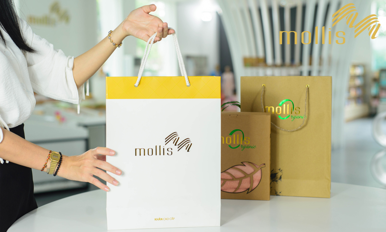 Mollis - Hành trình chinh phục người tiêu dùng bằng cấp chất lượng