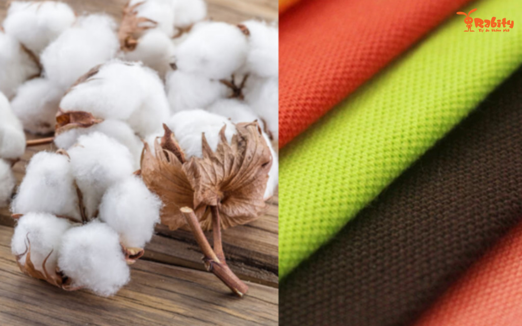 Vải cotton là gì