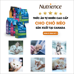 Chương trình đăng ký dùng thử thức ăn dành cho chó mèo Nutrience