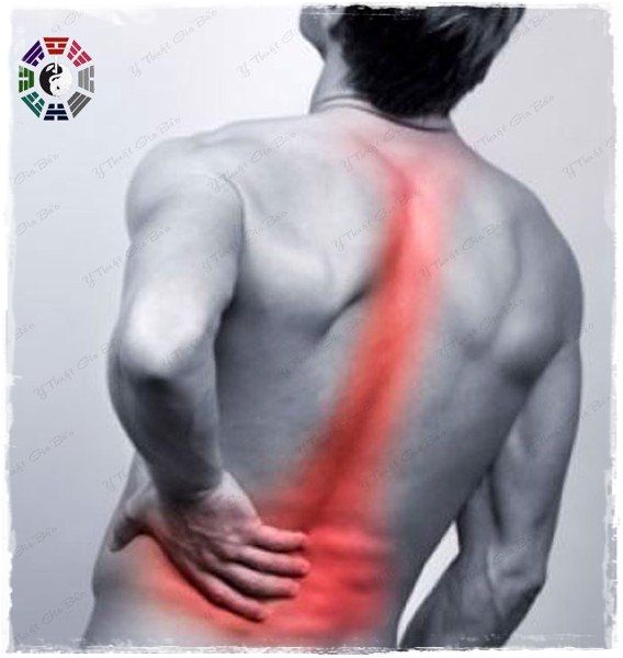 Đau mỏi cột sống lưng - nguyên nhân của các bệnh về xương khớp