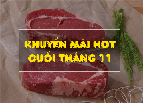 Khuyến mãi hot cuối tháng 11 - Cơ hội mua sắm với nhiều ưu đãi hấp dẫn tại Homefarm