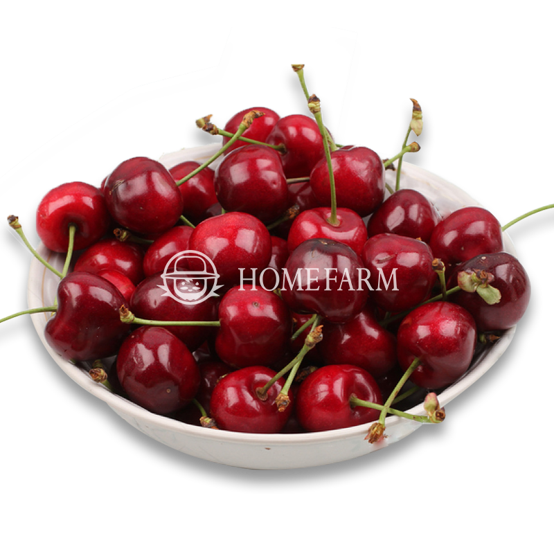 Cherry Mỹ , Canada nhập khẩu và cách phân biệt với Cherry Trung Quốc