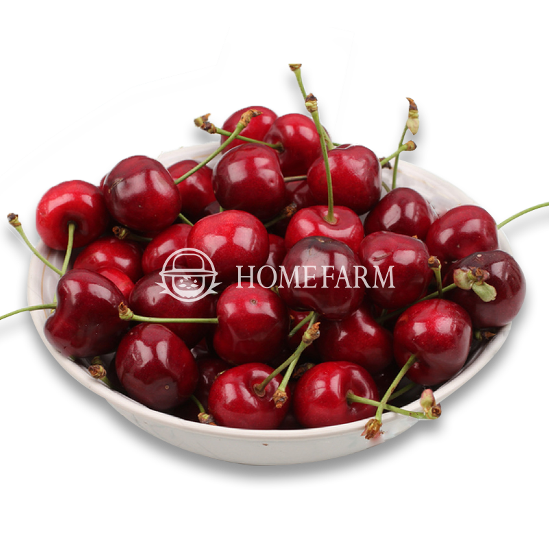 Khai xuân Kỷ Hợi với thực phẩm nhập khẩu cao cấp tại Homefarm