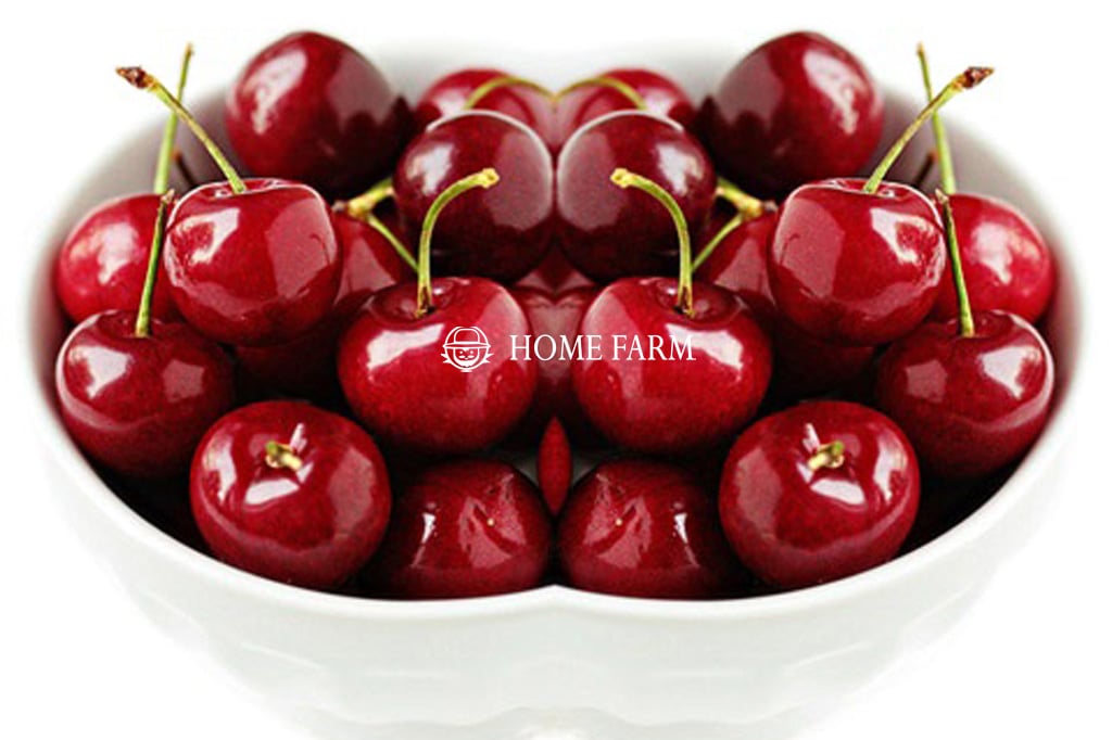 Những lợi ích không ngờ của trái Cherry