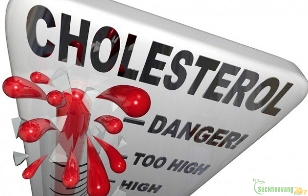 9 thói quen xấu làm tăng cholesterol