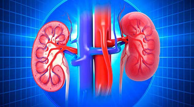 4 dấu hiệu cảnh báo thận bị ứ nước có thể khiến bạn gặp nguy hiểm: Hãy khẩn trương đi khám