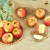 Các loại táo nhập khẩu phổ biến trên thị trường và lợi ích mang lại cho sức khỏe