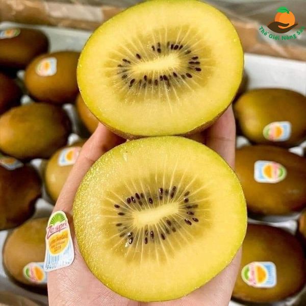 Vì sao kiwi vàng lại được mệnh danh là siêu trái cây?
