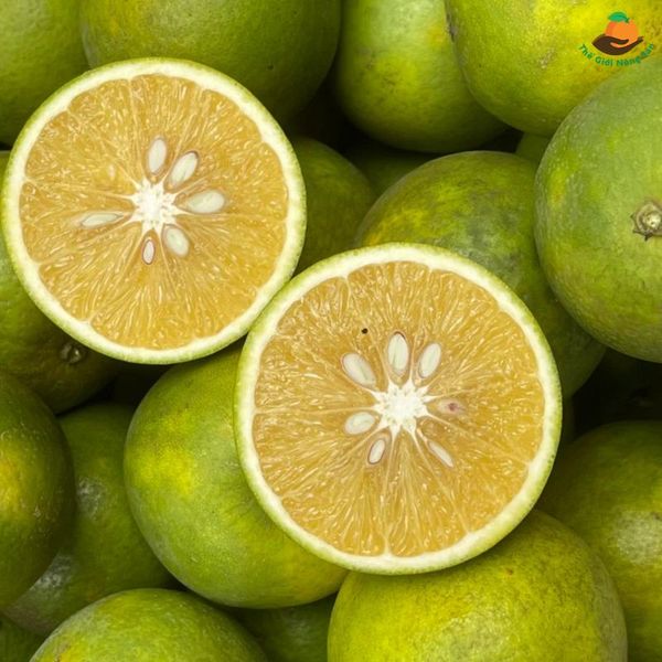 Cam Xoàn - trái cây đặc sản nổi tiếng của Lai Vung Đồng Tháp